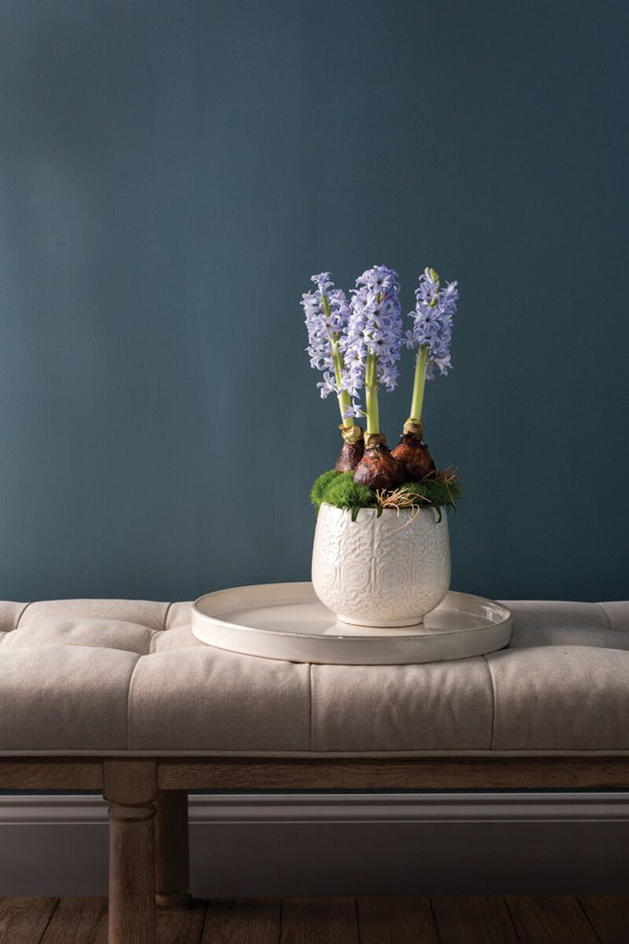 Design Shop White Francis Pot, 6" X 4.75", Set of 2.