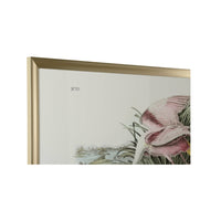 Chelsea House Roseate Spoonbill