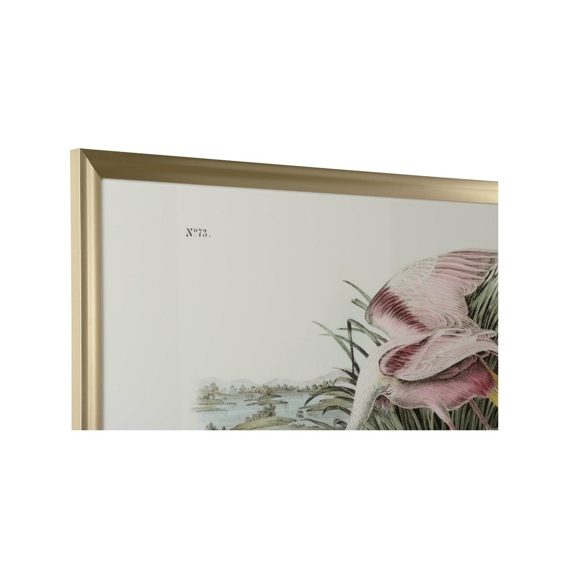 Chelsea House Roseate Spoonbill