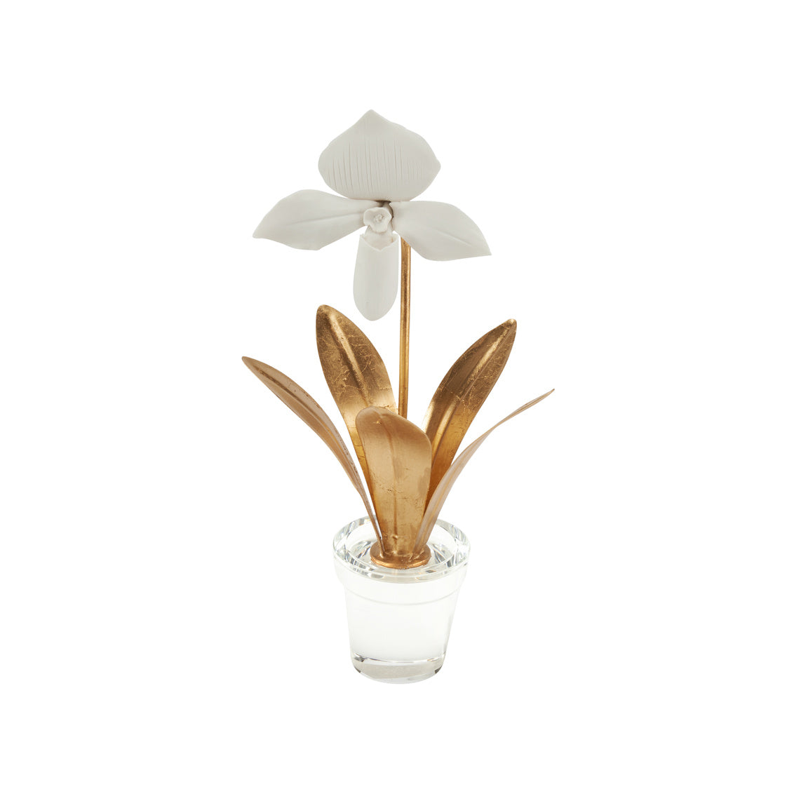 Chelsea House Lady Slipper Orchid