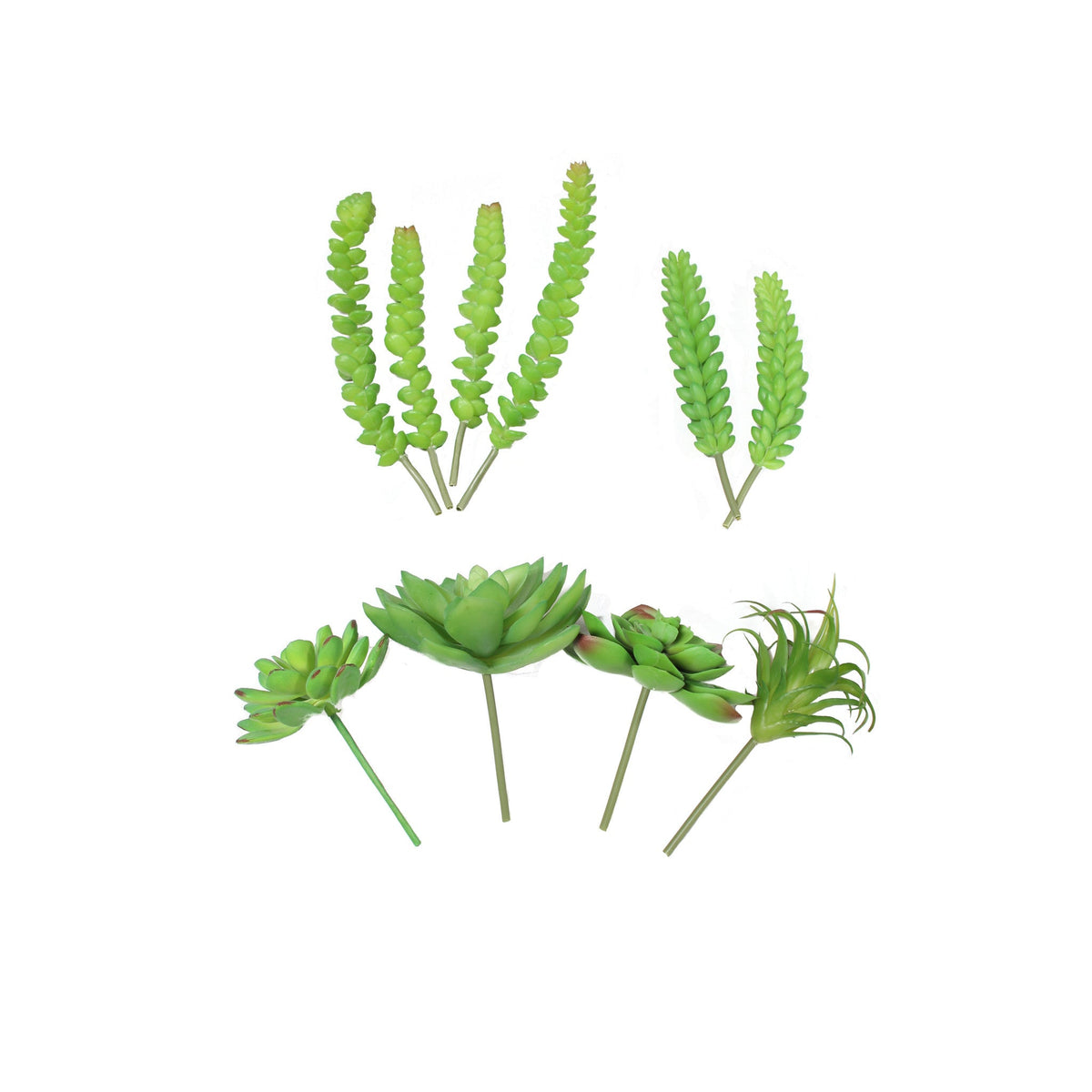 Design Shop Mixed Succulents Set of 6- B