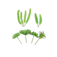Design Shop Mixed Succulents Set of 6- B
