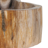 Design Shop Kiena Organic Shaped Carved Petrified Wood Bowl, 8.75"W, Cream