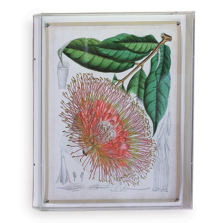Port 68 Tropicals Iv