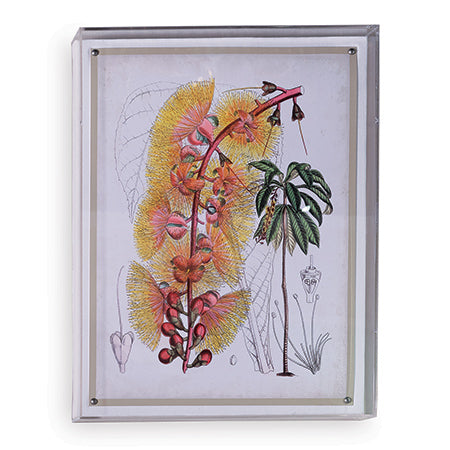 Port 68 Tropicals Vii