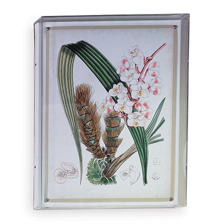 Port 68 Tropicals Viii