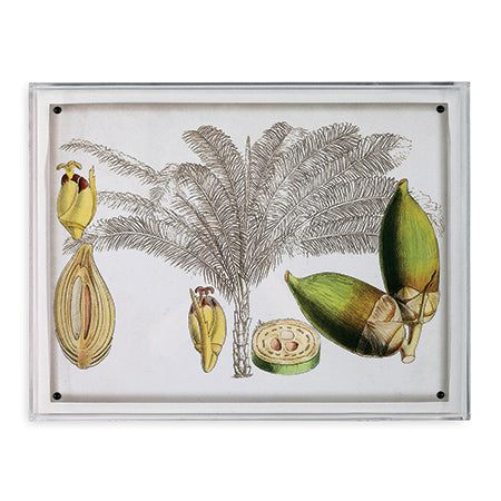 Port 68 Tropical Foliage I