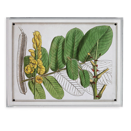 Port 68 Tropical Foliage Ii