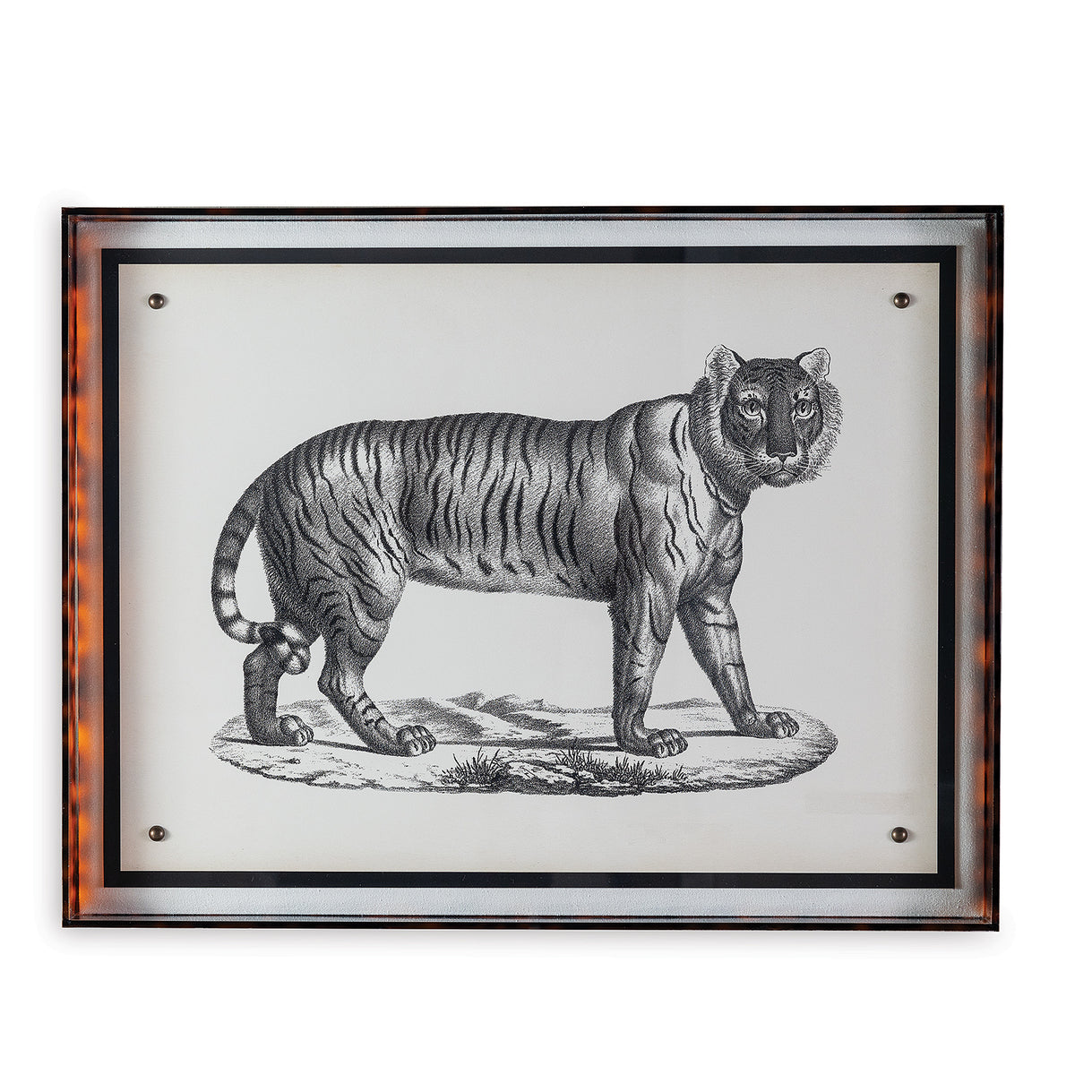 Port 68 Tiger