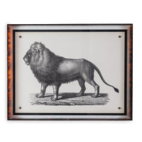 Port 68 Lion