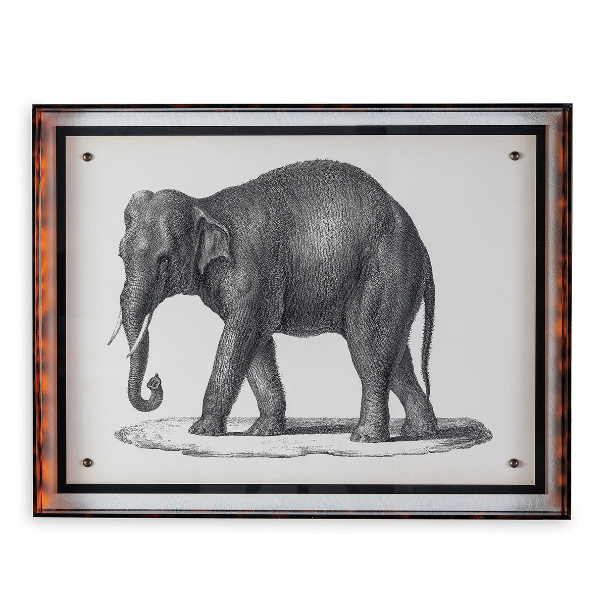 Port 68 Elephant