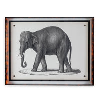 Port 68 Elephant
