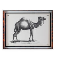Port 68 Camel