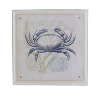 Port 68 Coastal Crab