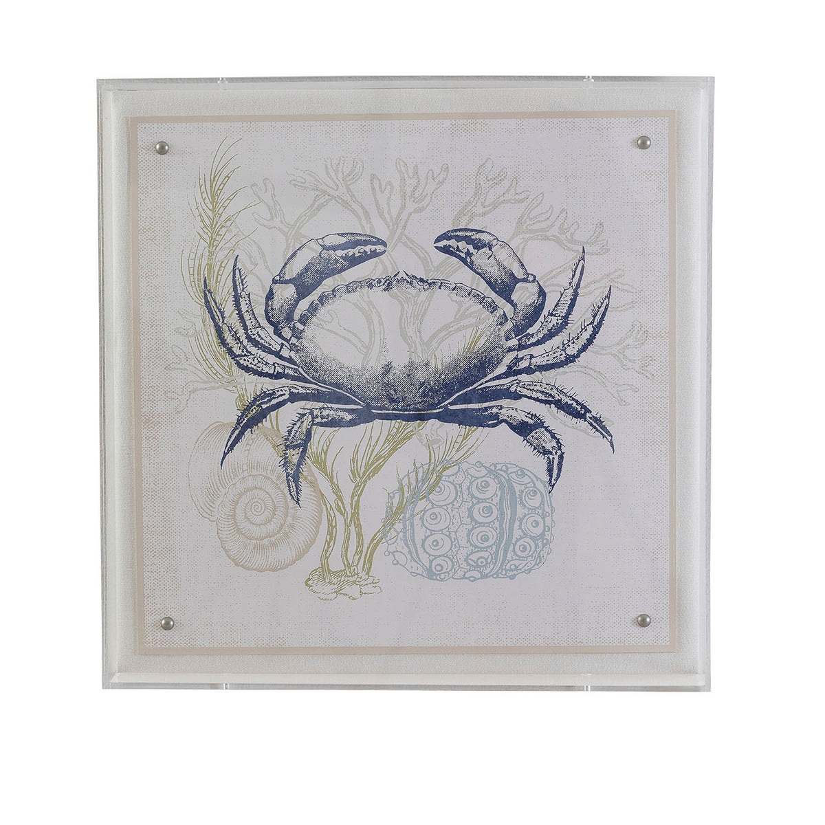 Port 68 Coastal Crab