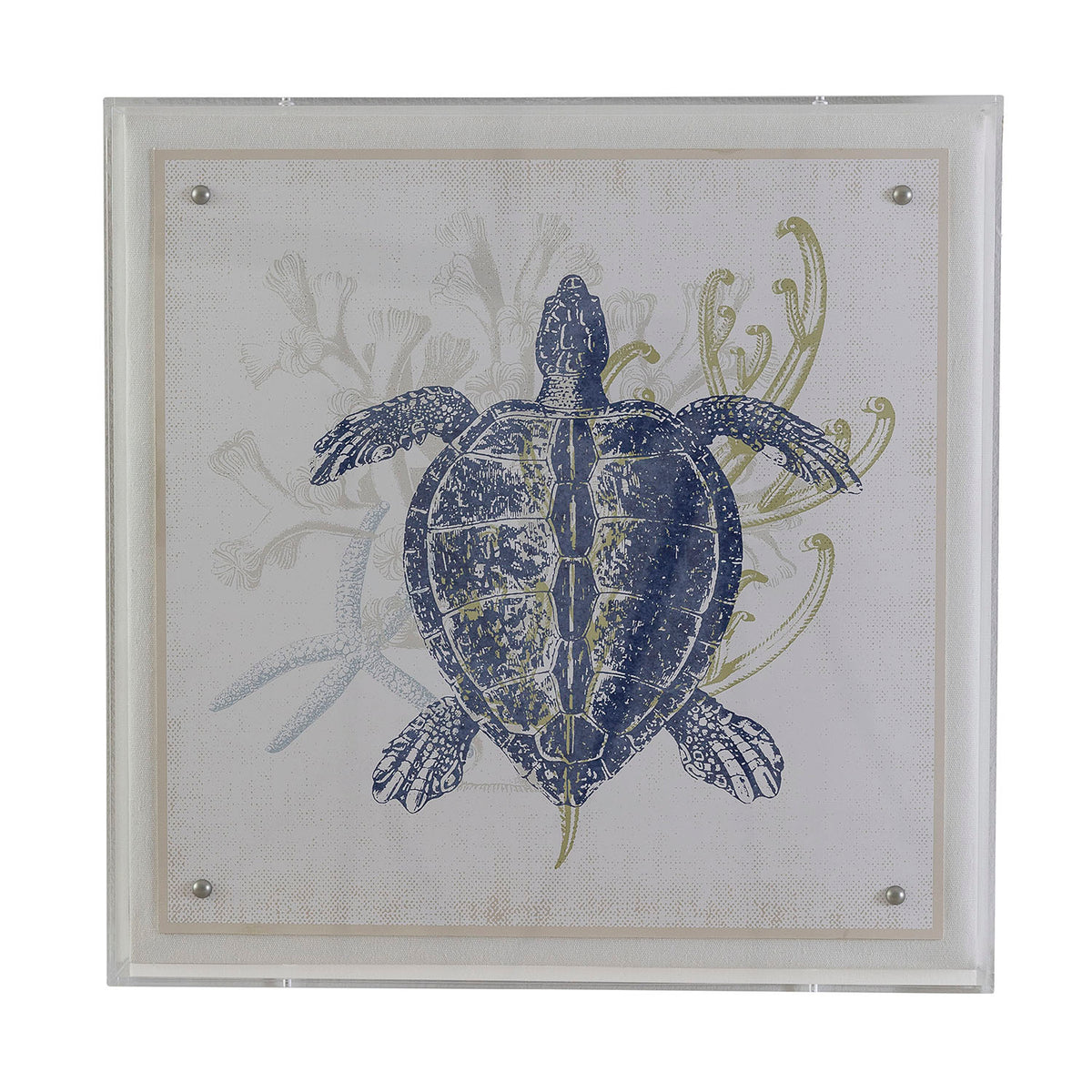 Port 68 Coastal Turtle
