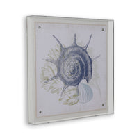 Port 68 Coastal Shell