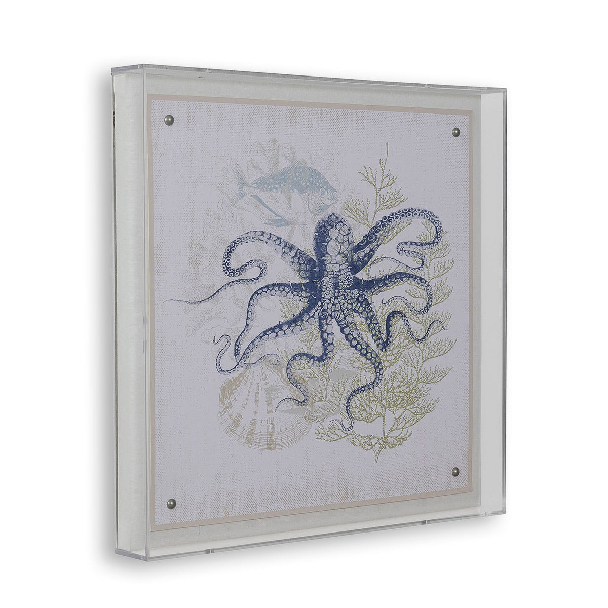 Port 68 Coastal Octopus