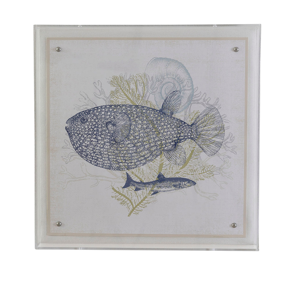 Port 68 Coastal Fish