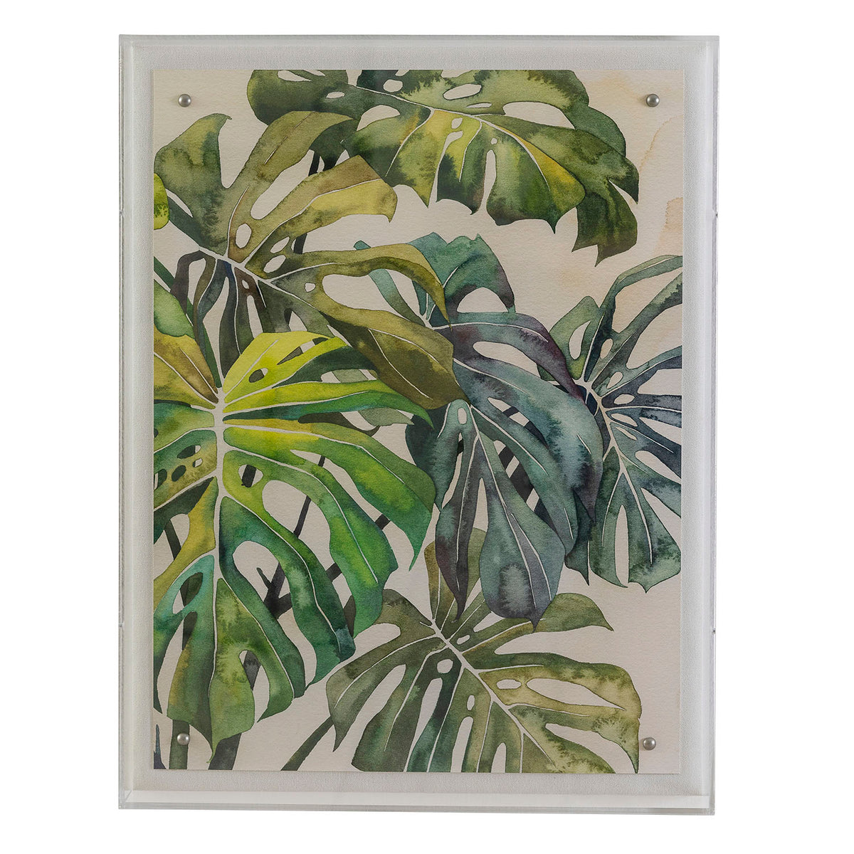 Port 68 Watercolor Leaves I