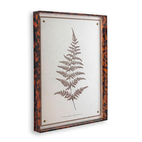 Port 68 Sepia Fern I