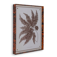 Port 68 Sepia Fern II