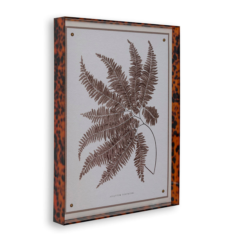 Port 68 Sepia Fern II