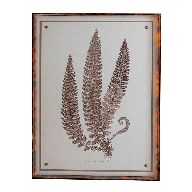Port 68 Sepia Fern V