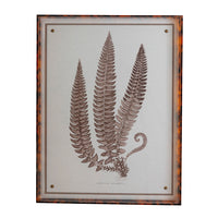 Port 68 Sepia Fern V