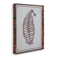 Port 68 Sepia Fern X
