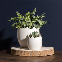 Design Shop Chickadee Pot Small