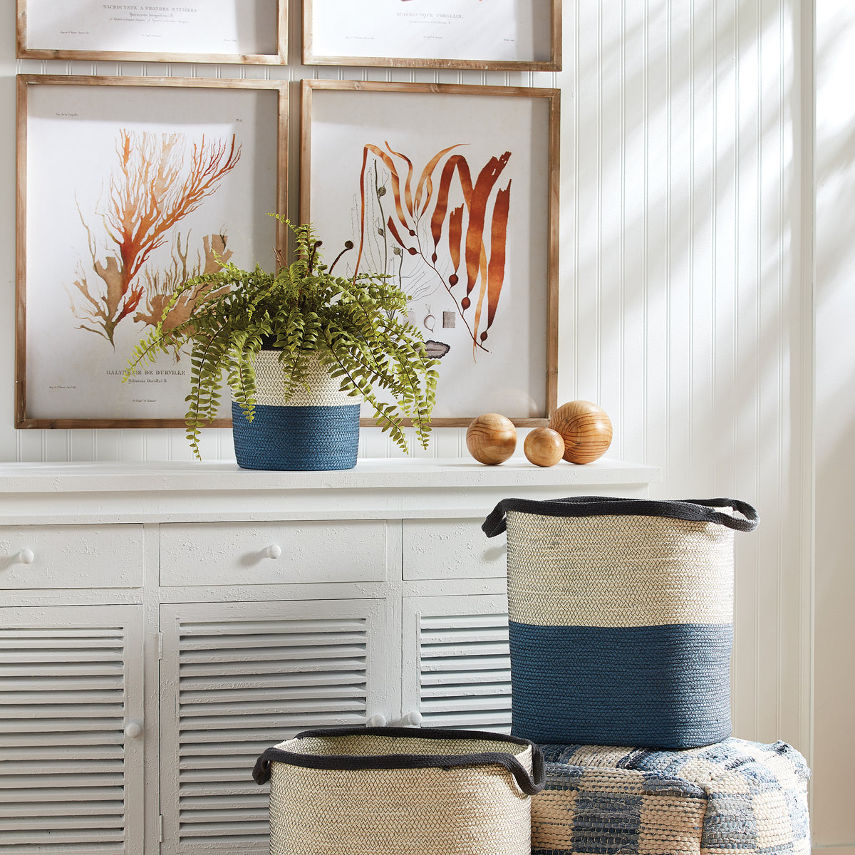 Design Shop Boston Fern Drop-In 16"