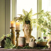 Design Shop Boston Fern Drop-In 16"