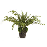 Design Shop Boston Fern Drop-In 16"