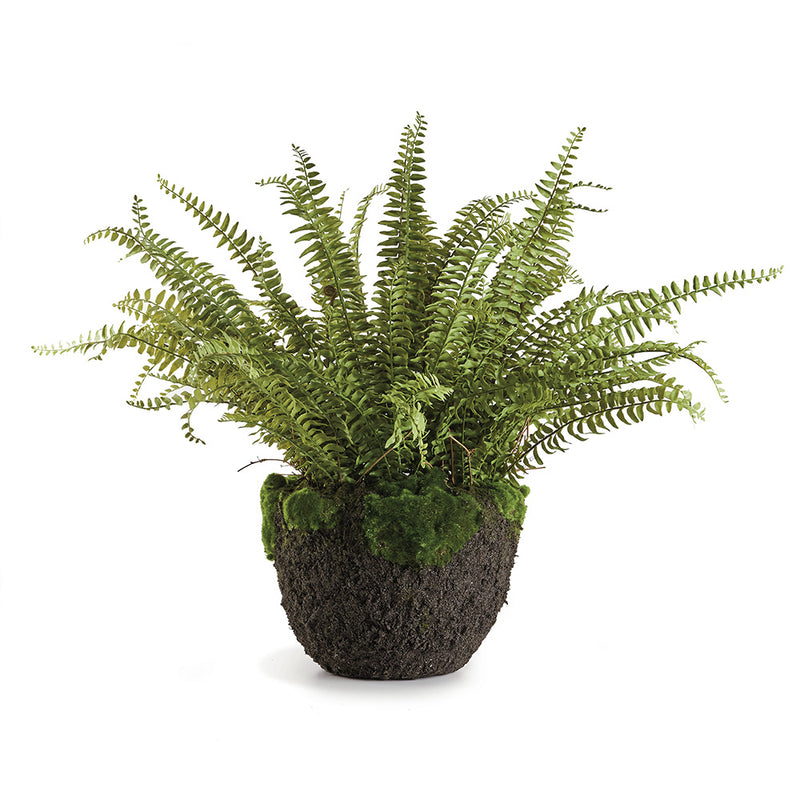 Design Shop Grand Boston Fern Drop-In 30"