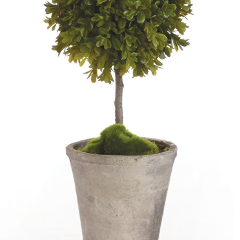 Design Shop Barclay Butera Faux Boxwood Topiary Potted 25"