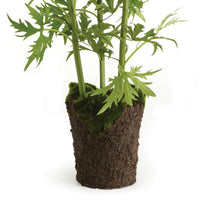 Design Shop Delphinium Drop-In 53"