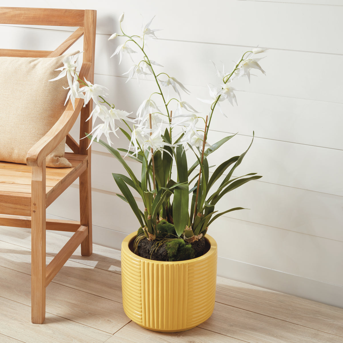 Design Shop Spider Orchid Drop-In 44"