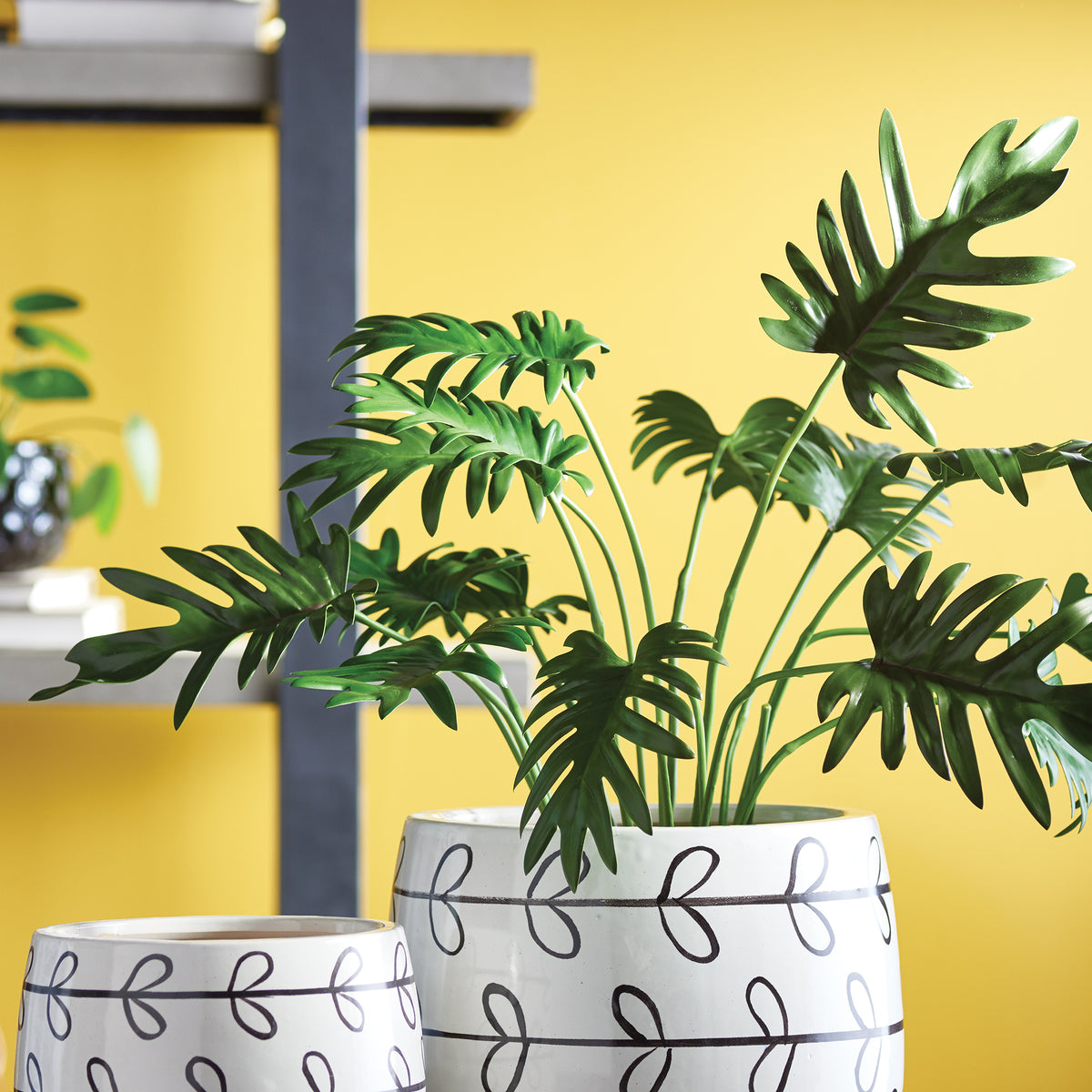 Design Shop Split Leaf Selloum Drop-In 22.5"