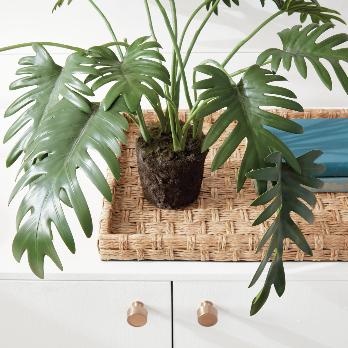 Design Shop Split Leaf Selloum Drop-In 22.5"