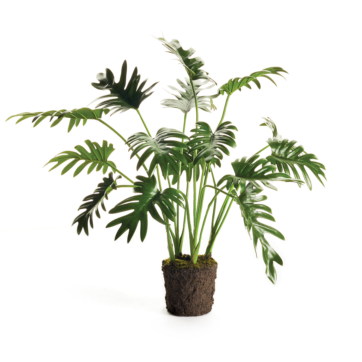 Design Shop Split Leaf Selloum Drop-In 22.5"