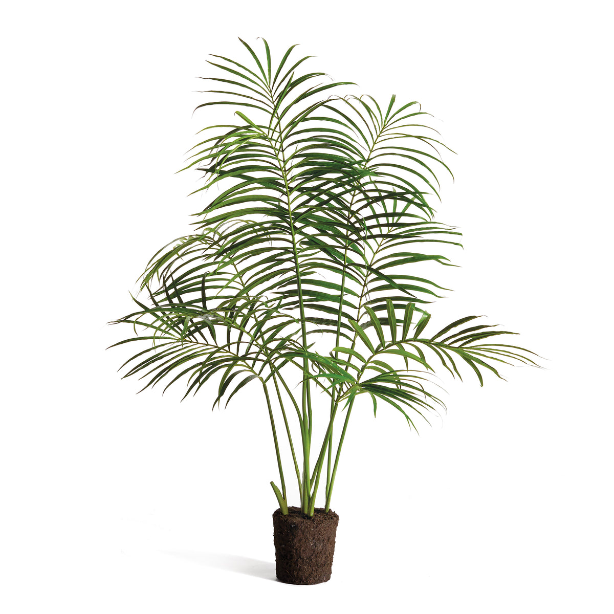 Design Shop Palm Tree Drop-In 50"