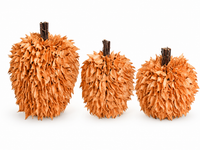 Design Shop Set of 3 Burnt Orange Pod Pumpkins