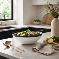 Design Shop Trento White Ceramic Bowl with Black Volcanic Rim 11.25"
