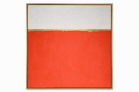 Viva La Orange Framed Canvas Art