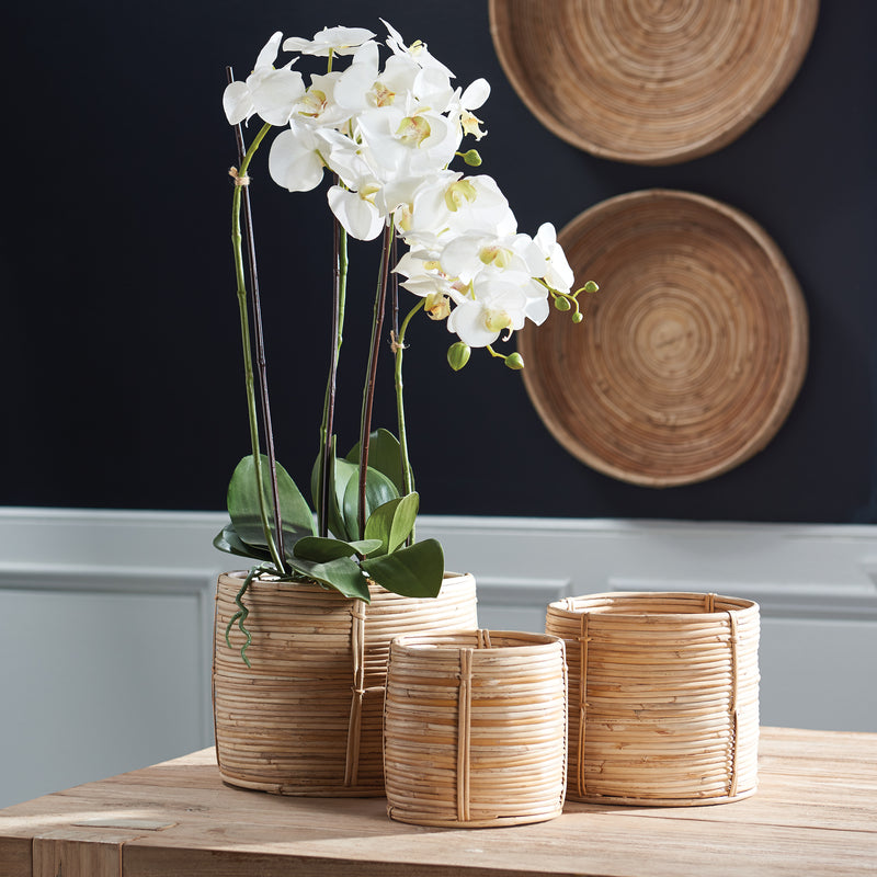 Design Shop Cane Rattan Mini Round Baskets, Set Of 3