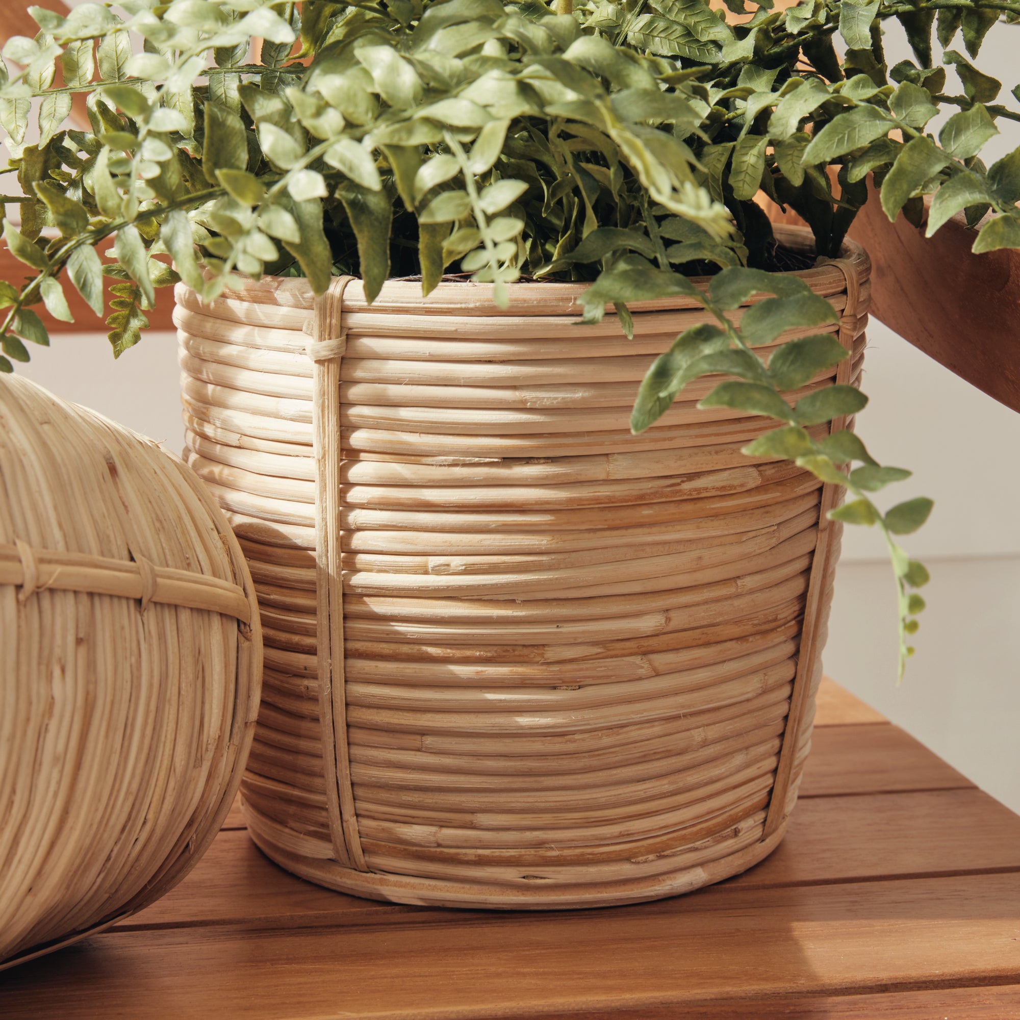 Design Shop Cane Rattan Mini Round Baskets, Set Of 3