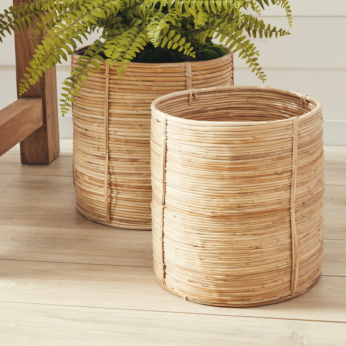 Design Shop Cane Rattan Round Tree Baskets, Set Of 2