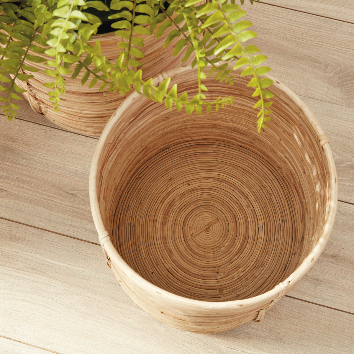 Design Shop Cane Rattan Round Tree Baskets, Set Of 2