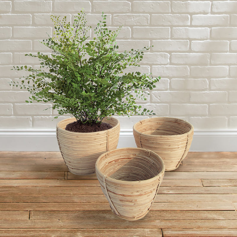 Design Shop Cane Rattan Round Tapered Baskets, Set Of 3